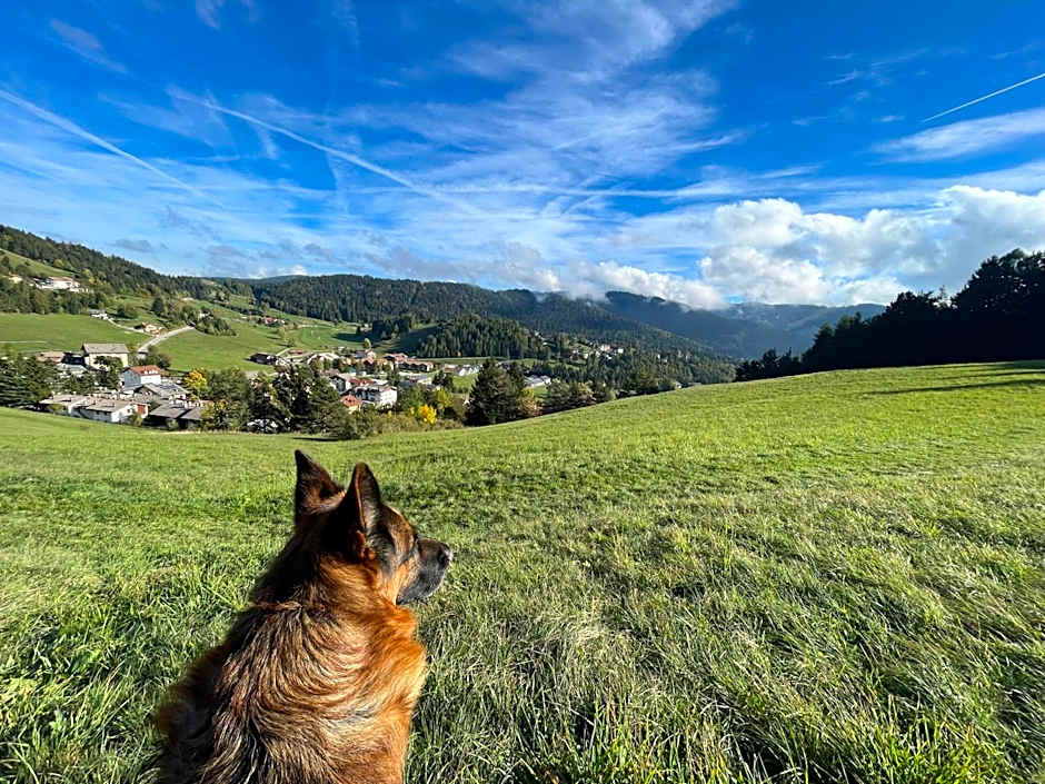 Hotel Rech-Hof Sayonara