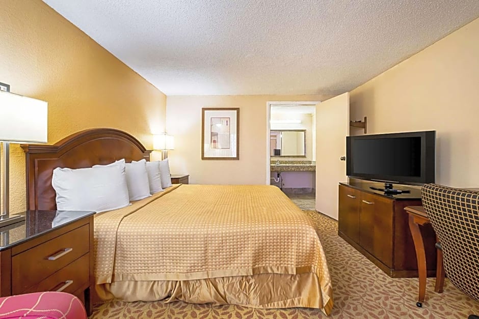 Rodeway Inn Metro Airport
