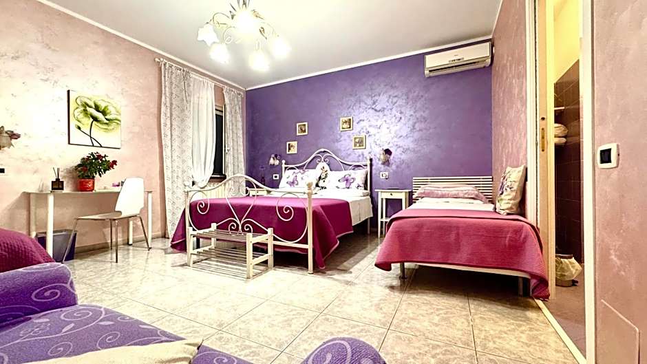 Bed&Breakfast degli ulivi