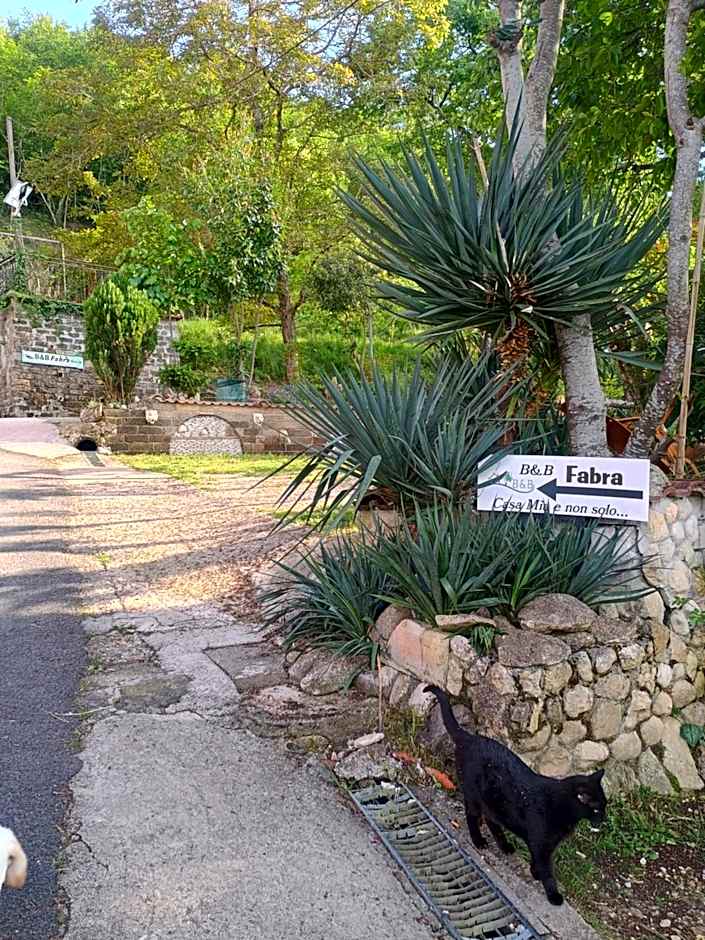 B&b Fabra Casa Mia e non solo