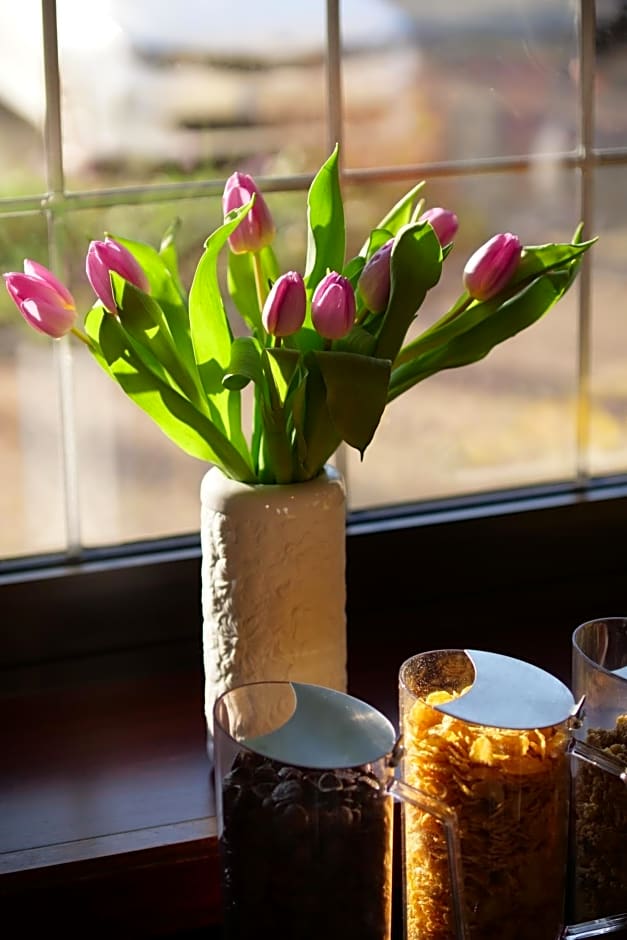 Parkhotel Bergheim