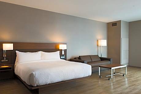 King Room with Sofa Bed - Hearing Accessible