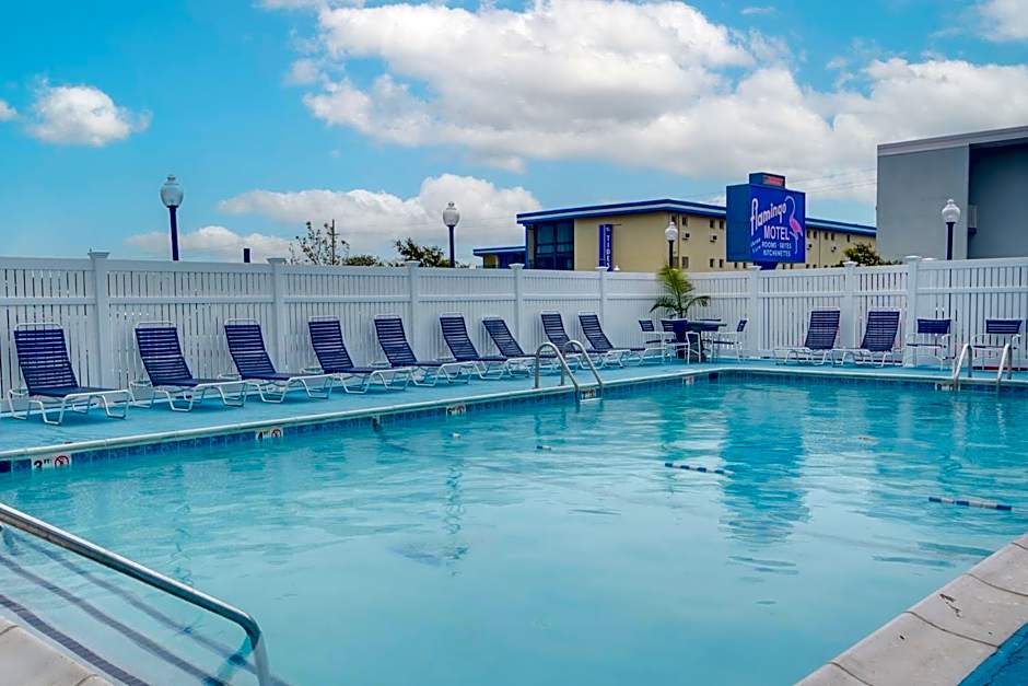 Flamingo Motel