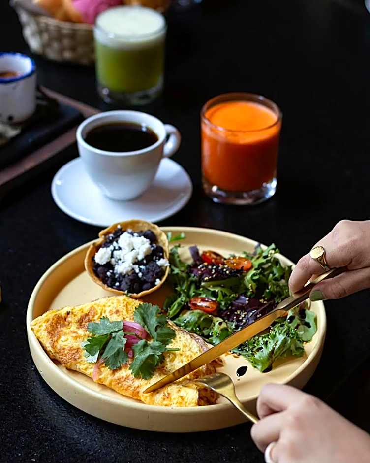 Esplendor by Wyndham San Luis Potosi Monarca