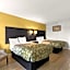 Econo Lodge White Pine Morristown I-81 & I-40 Split