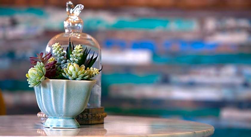 Hermanus Guest House