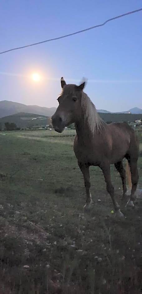 il casale san martino