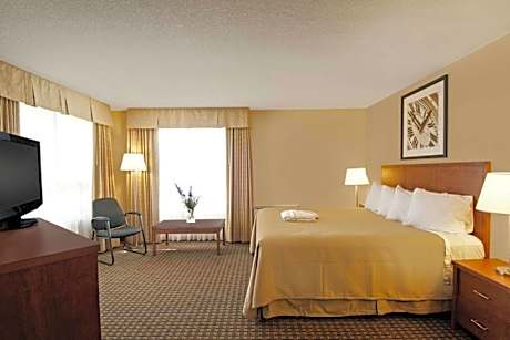 King Suite with Sofa Bed - Non-Smoking