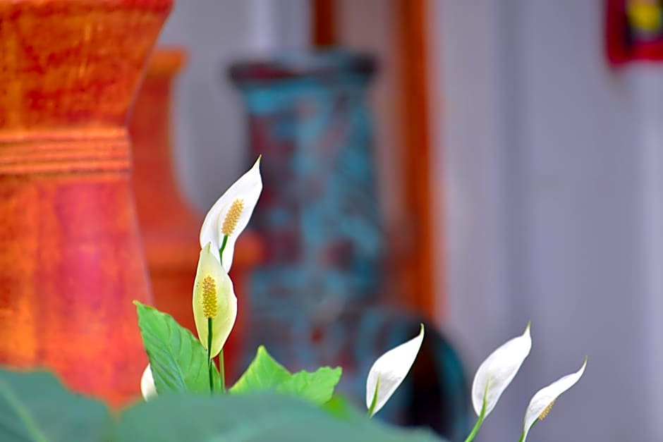 Tlaquepaque Pueblito