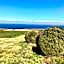 Ocean View Guestrooms