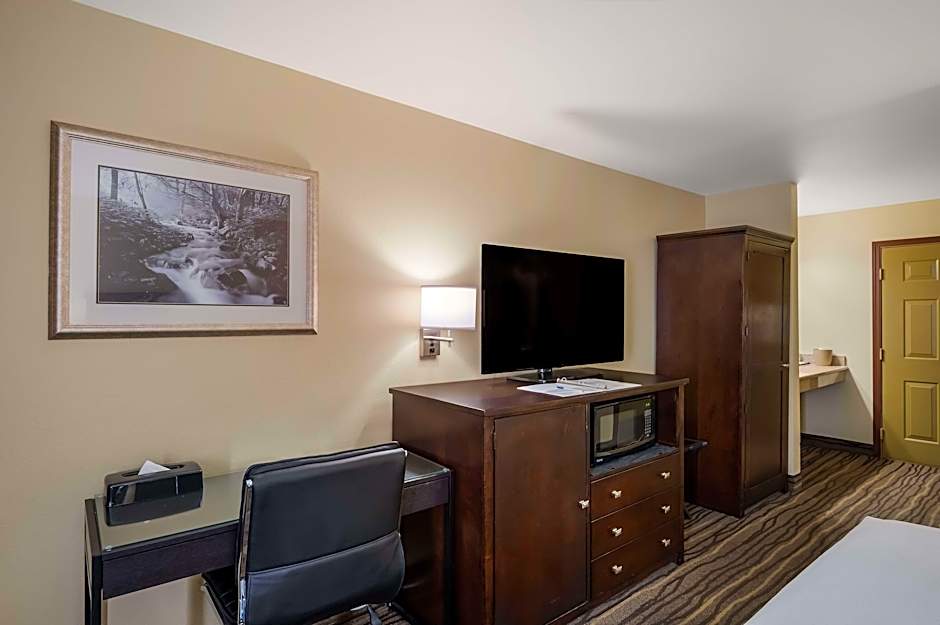 Photo 1 of 3 of 1 King Bed, Mobility Accessible, Roll in Shower