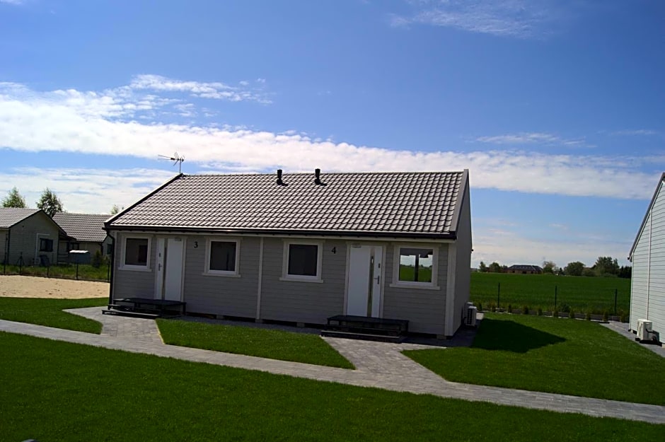 Szara Gąska w Gąskach