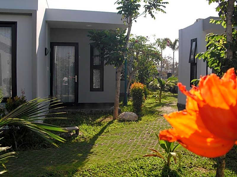 Van Nguyen Minihouse