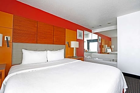 1 King Bed Studio Suite Smoking