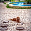 Haber Hotel & SPA