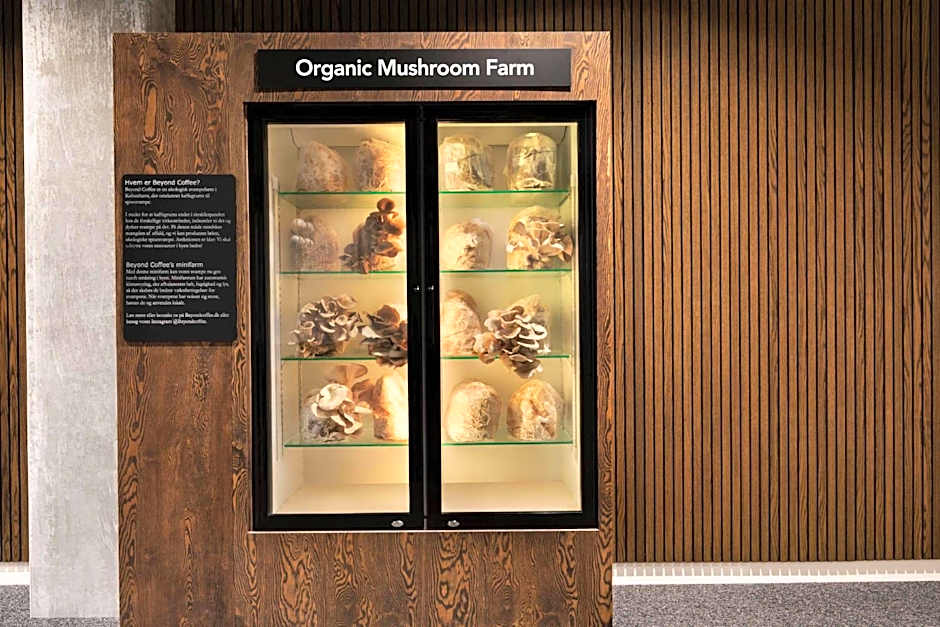 Comwell Copenhagen Portside Dolce by Wyndham