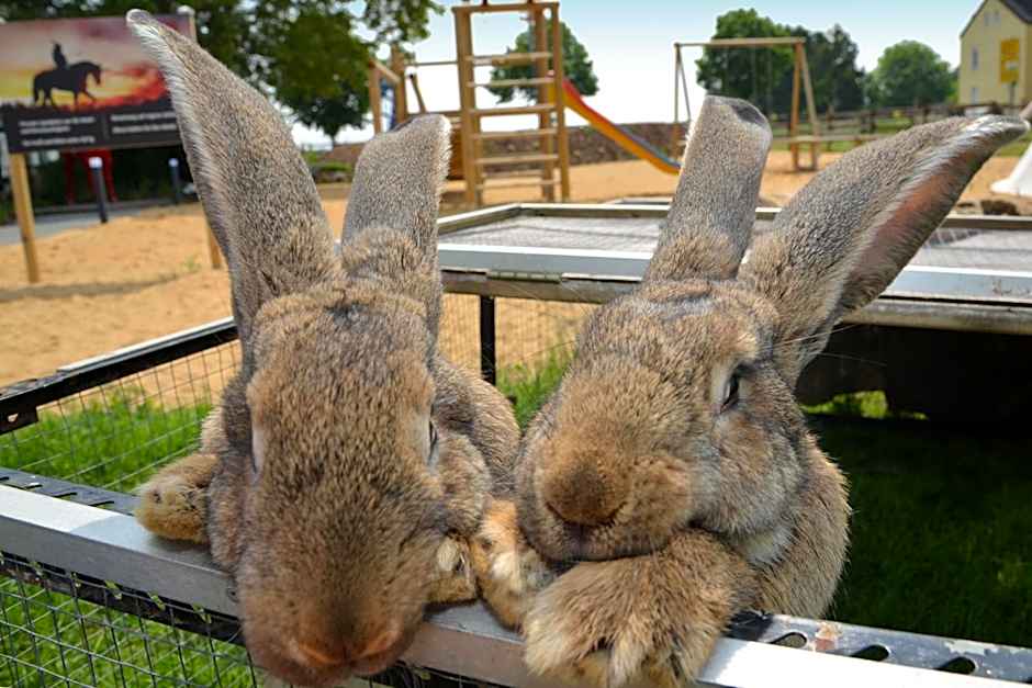 Hotel-Restaurant Rotes Einhorn Düren *** Superior