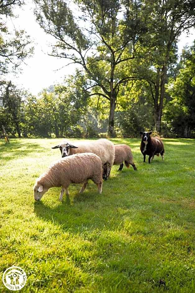 Aux 2 Puys - Gîte "Le Lemptégy"