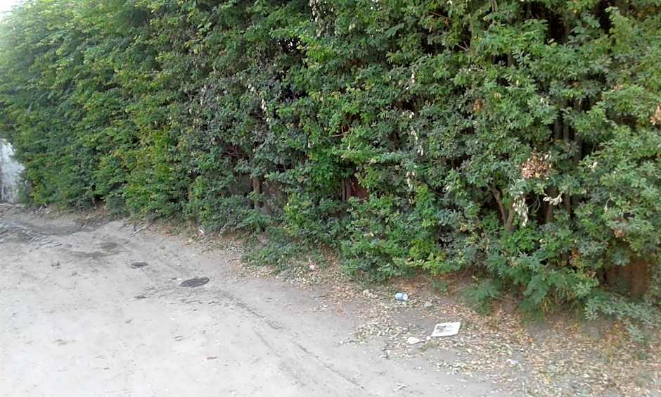 JJ & JE Family House