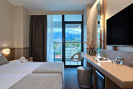 Double Room with Mountain View