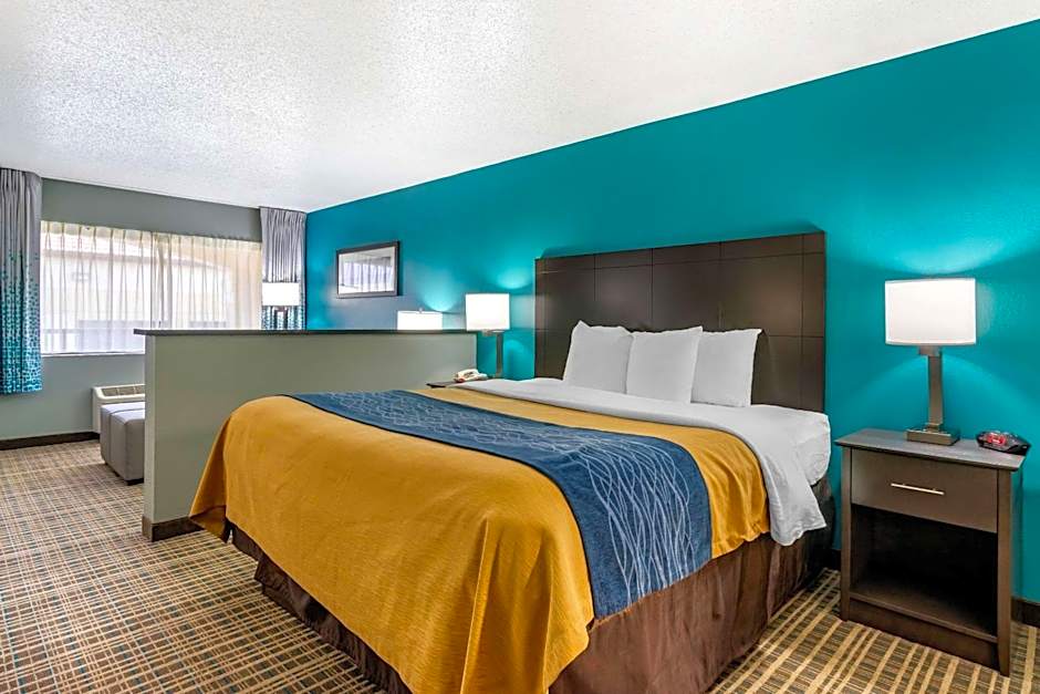 Comfort Inn Sun City Center-Tampa South