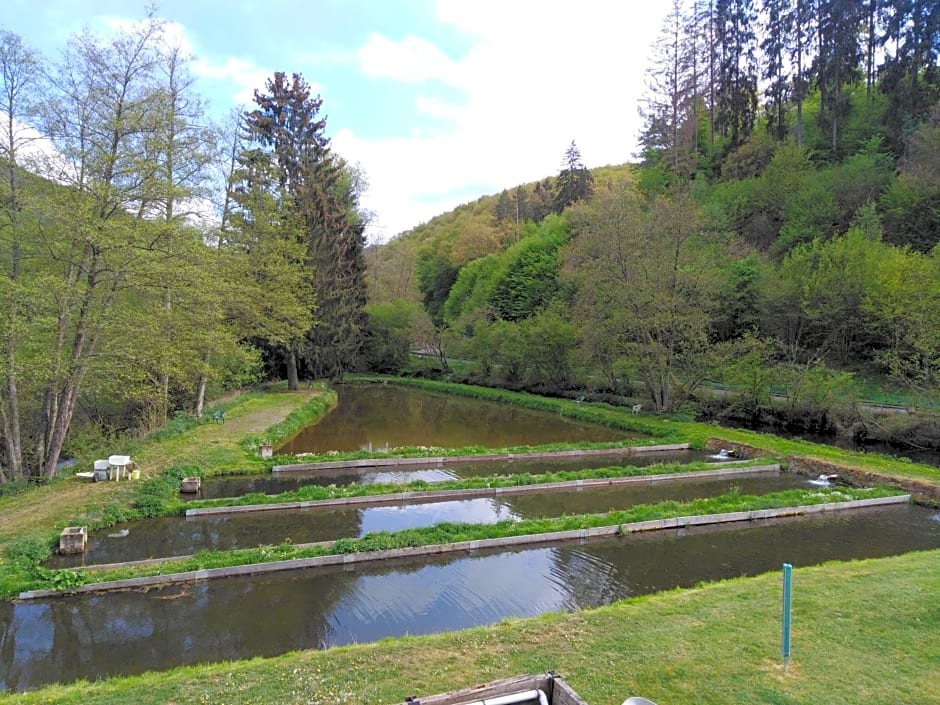 Zimmer ohne Frühstück in der Forellenzucht