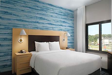 1 Bedroom Suite, 1 Queen, Sofa bed