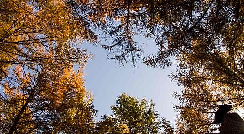 Guesthouse Canterbury