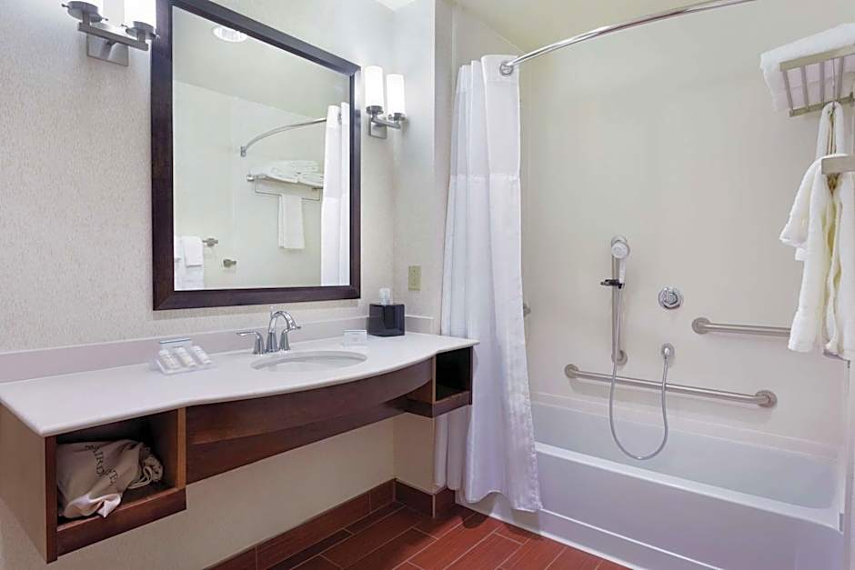 Hilton Garden Inn Rochester Downtown