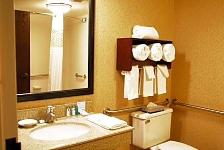 1 King Bed Nonsmoking