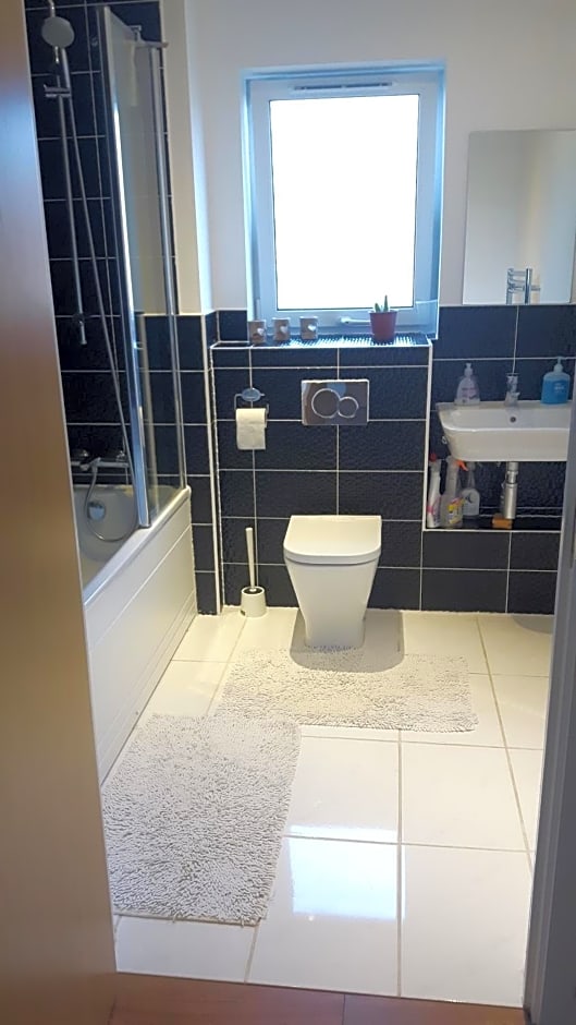 Lavi's house-East Milton Keynes