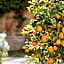 Secret Garden Firenze B&B