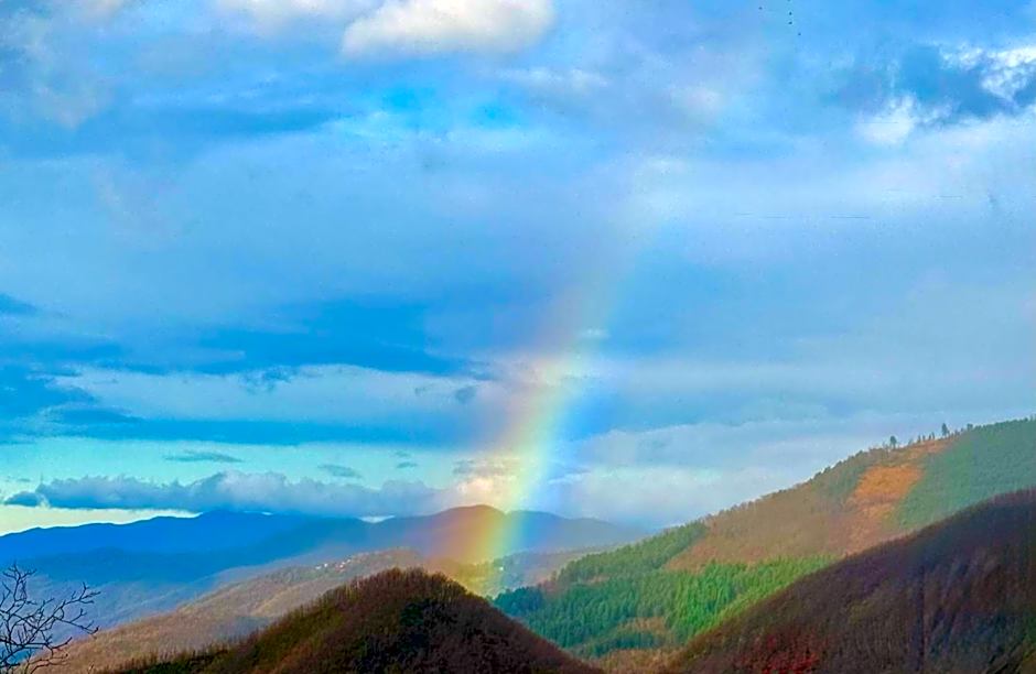 Viandanti, Artisti e Sognatori