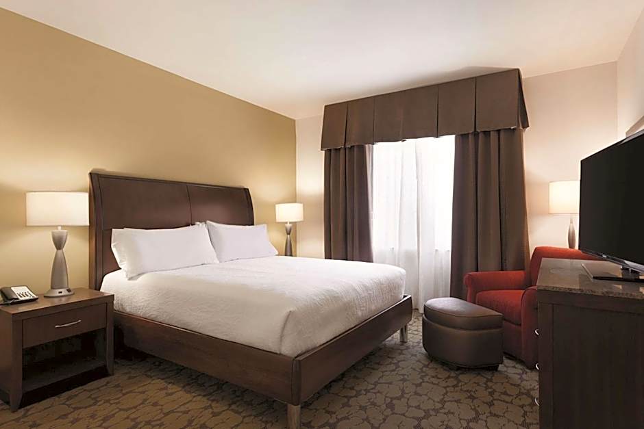 Hilton Garden Inn Rochester Downtown