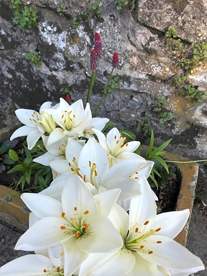 South Craighall B&B
