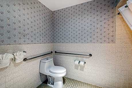 1 King Bed, Nonsmoking, Accessible