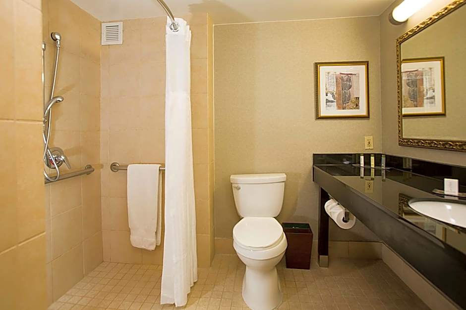 DoubleTree by Hilton Hotel Detroit - Novi