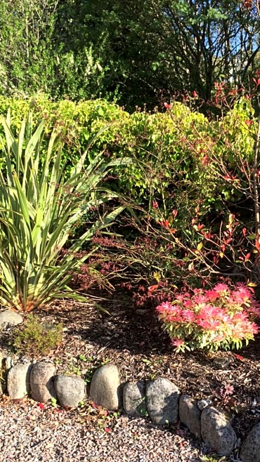 Buccleuch Guest House