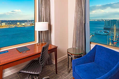 Deluxe King Room with Skyline View