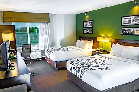 Deluxe Queen Room with Two Queen Beds - Non-Smoking