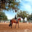 Howard Johnson by Wyndham Ocala FL