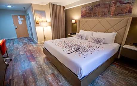 King Room - Disability Access