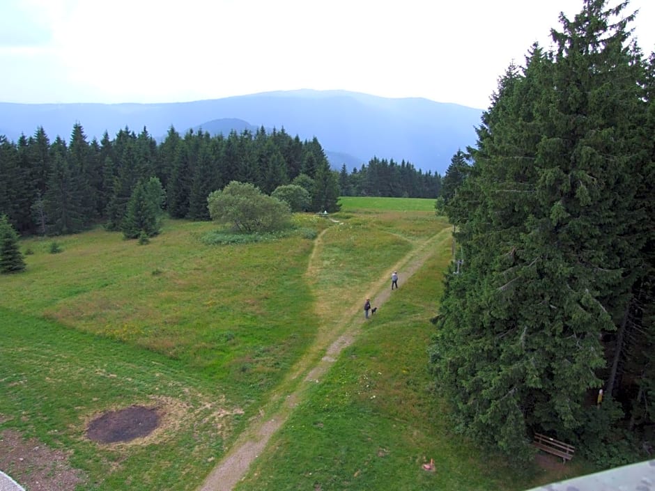 Berggasthof & Hotel Brend