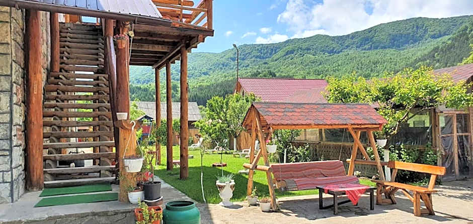 Casa de Vacanta Neagu