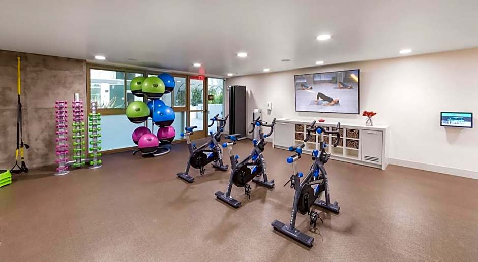 Modern Apartment Rentals