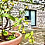 Le due palme Bed & Breakfast