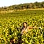 greet Hotel Beaune