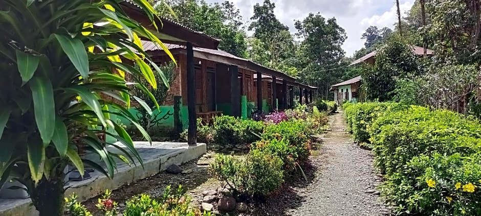 Green lodge tangkahan 
