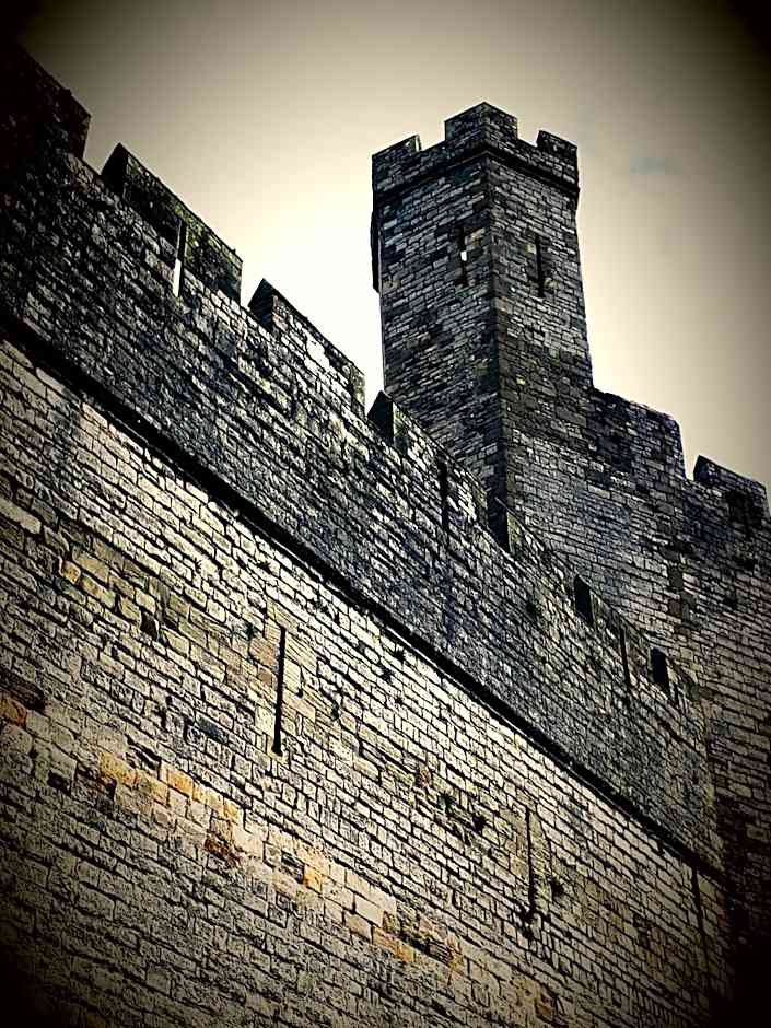 Ty Glyndwr Bunkhouse, Bar and cafe