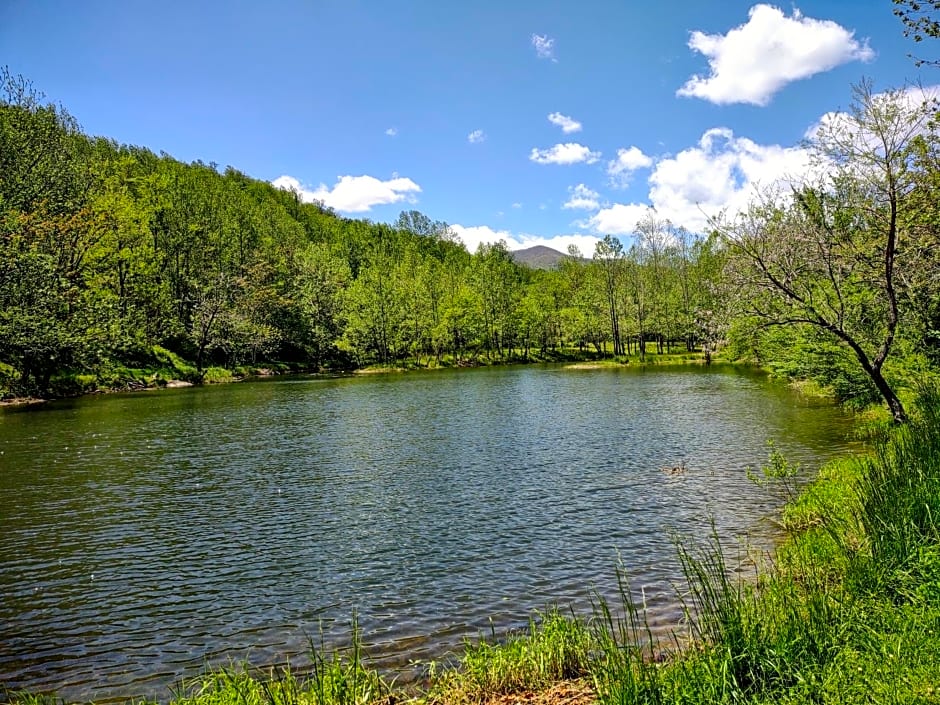 Graves Mountain Farm & Lodges